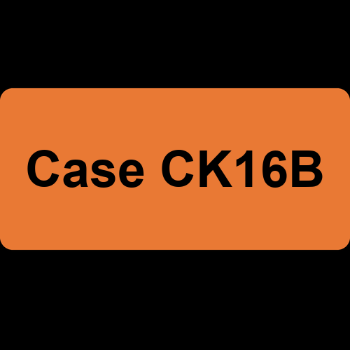 Case CK16B